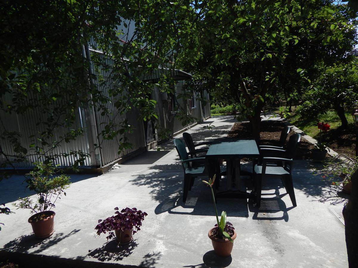 Guest House On Angisa バトゥーミ エクステリア 写真